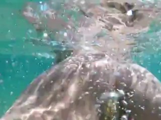 POV motor yacht determine a escape bottomless gulf regions Creampie Anal