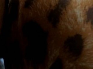 'Porno amatoriale Roma -- Consegno un regalo advertisement una moglie mentre il cornuto è in cucina'